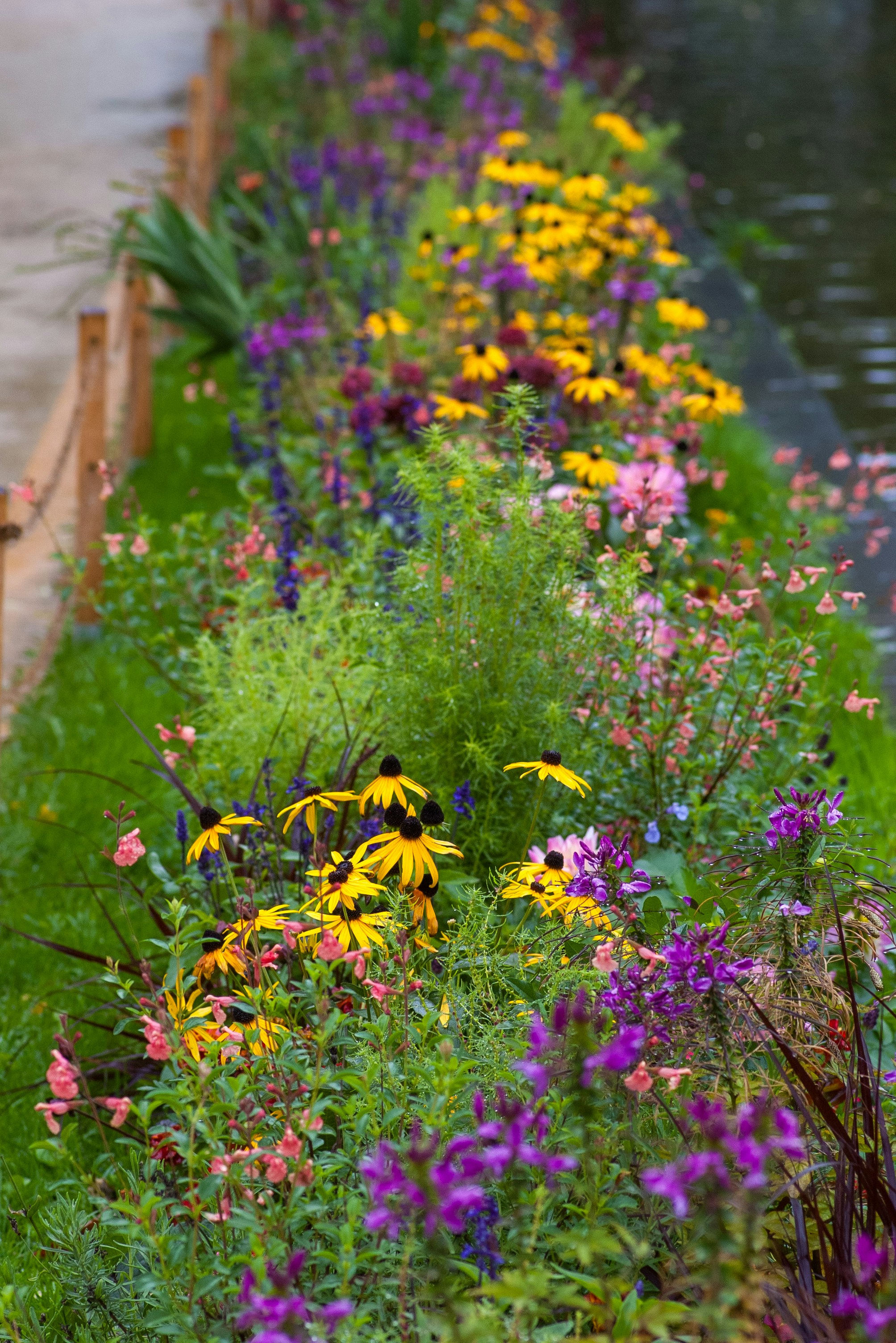 A flower border in soft garden light